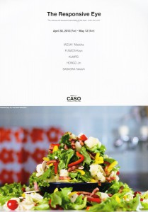 The Responsive Eye 1