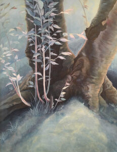 takezaki_joryu_kouchi_2019